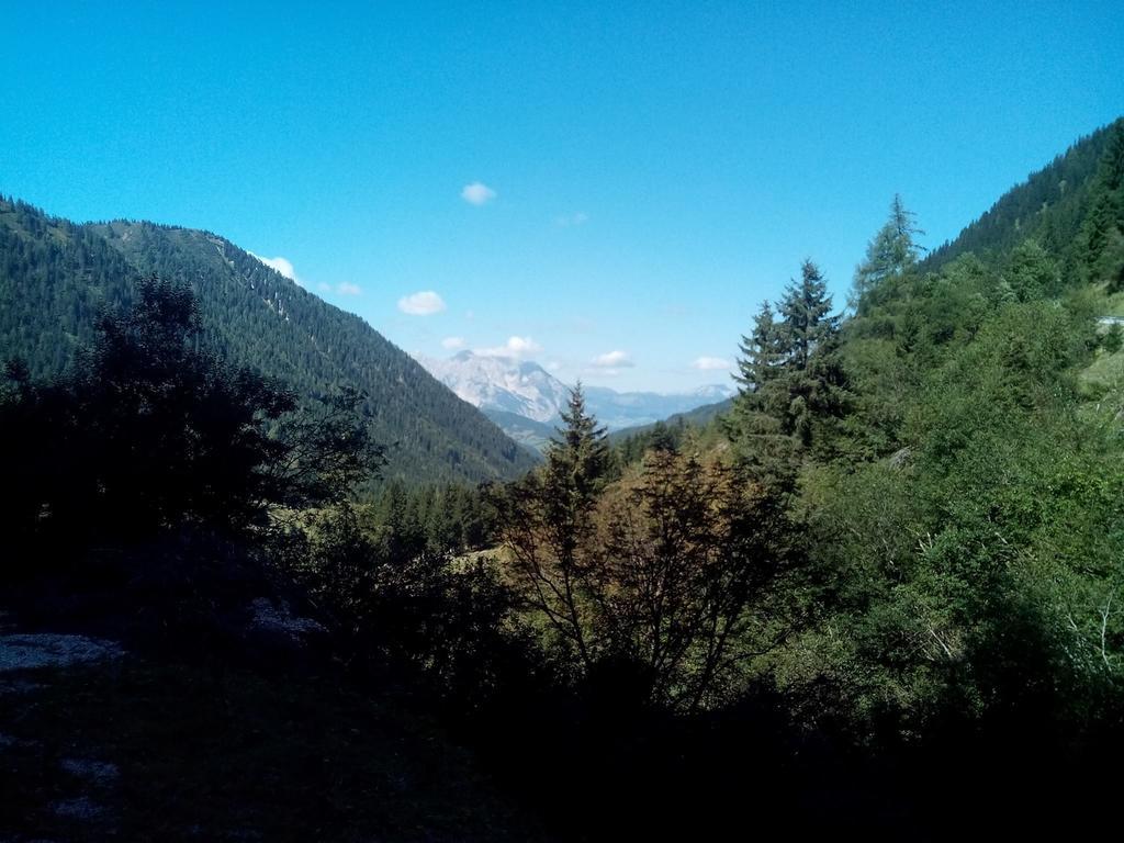 Hotel Gasthof Murauerhof Sankt Peter am Kammersberg Zewnętrze zdjęcie