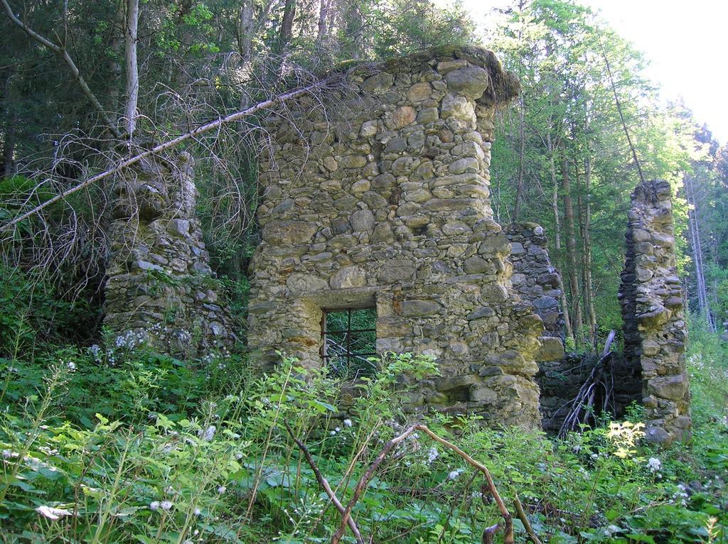 Hotel Gasthof Murauerhof Sankt Peter am Kammersberg Zewnętrze zdjęcie